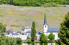 an old church sits on the edge of a lake in front of a village and vineyard