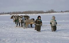 two children are standing in the snow with sleighs and horses behind them