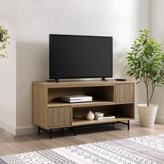 a flat screen tv sitting on top of a wooden entertainment center next to a potted plant