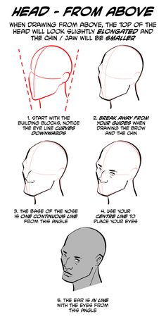 how to draw the head from above with different angles and hairline options for each face