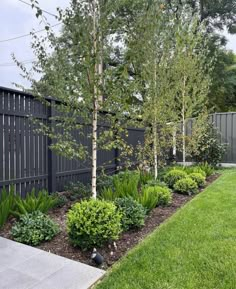 a fenced in yard with trees and bushes