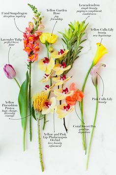 an image of flowers labeled in english