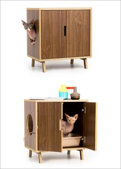 two pictures of a cat in a cabinet