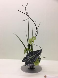 a plant in a vase on a table