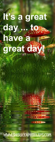 a group of mushrooms sitting on top of a lush green field next to a lake