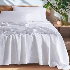 a bed with white sheets and pillows in a room next to a potted plant