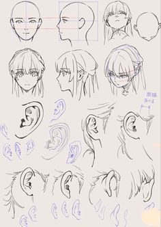 the various stages of drawing an anime character's head