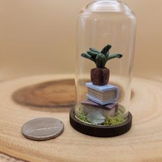 a small plant in a glass vase on top of a table next to a penny