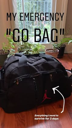 a gym bag sitting on top of a hard wood floor next to a potted plant