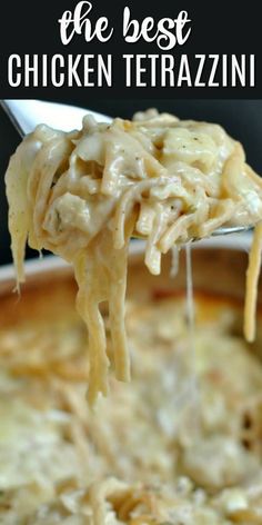 the best chicken tetrazzini recipe is made with pasta and cheese