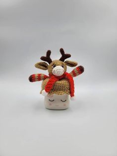 a stuffed animal with a knitted hat and scarf on it's head, sitting in front of a white background