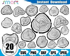 the tree rings are cut in half and ready to be colored