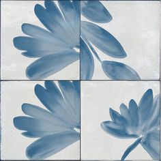 four blue and white tiles with leaves on the bottom one is in square formats