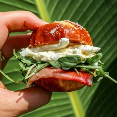 a hand holding a sandwich with meat, cheese and spinach leaves on the side