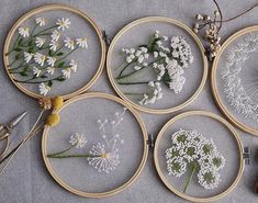 four embroidery hoops with white flowers on them