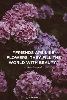 purple flowers with the quote friends are like flowers, they fill the world with beauty