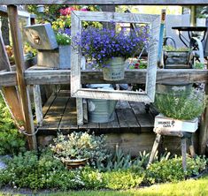 an outdoor garden with potted plants and flowers