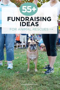 two people and a dog standing in the grass with text overlay that reads 55 + fundraiser ideas for animal rescues