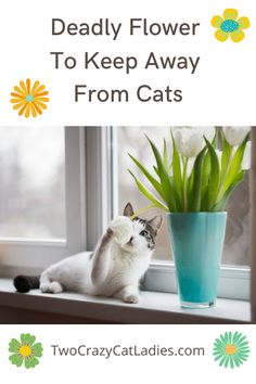 a white cat sitting on top of a window sill next to a potted plant