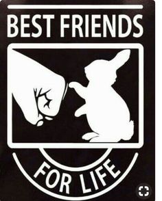 the best friends for life sticker is shown