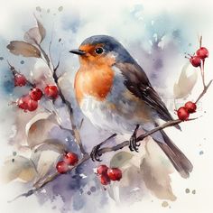 a watercolor painting of a bird on a branch with berries