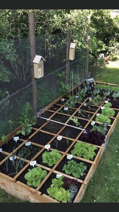 an outdoor garden with lots of plants growing in the ground and some birdhouses on the fence