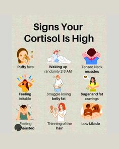 signs your cortisol is High  #cortisol #type #stress #diabetestype #diabetes #diabetestipo High Cortisol, Low Libido, Healthy Tips, Belly Fat, Signs, Feelings, Health, Beauty