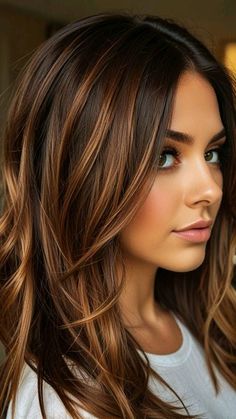 Dark Brown Autumn Hair, Brown Highlights For Dark Brown Hair, Different Colour Highlights, Fall Brunette Hair Color Balayage 2024, Dark Long Hair With Highlights, Hair Colors For Dark Brown Hair, Baylage Hair Brunette, Hair Dark Brown Highlights, Dark Hair With Colored Highlights