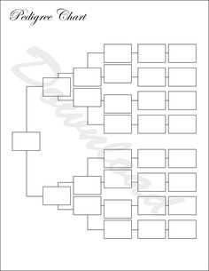 a family tree with squares and rectangles in the middle, on top of each other