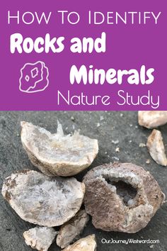 rocks and minerals with text overlay that reads how to identify rocks and minerals nature study