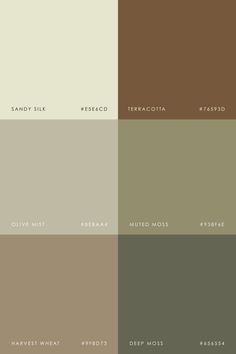 four different shades of brown, beige and green paint colors with the same color scheme