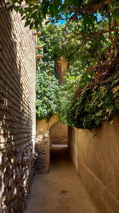 an alley way with trees and brick walls