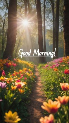 the words good morning are in front of colorful flowers