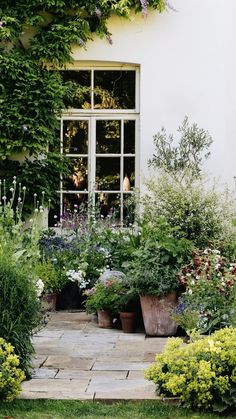 a white house with lots of plants in the front yard