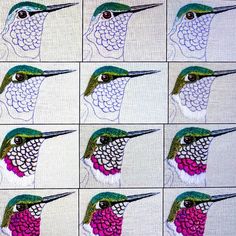 several pictures of a hummingbird with different colors and patterns on it's face