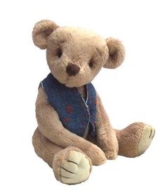 a brown teddy bear wearing a blue vest