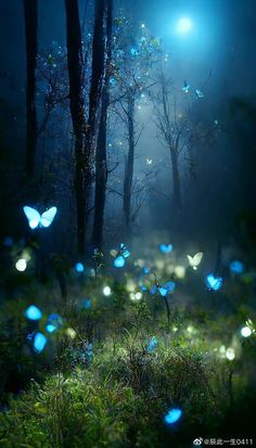 many blue butterflies flying in the air above grass and trees with lights shining on them