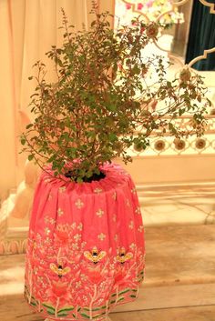 a potted plant sitting on top of a table next to a mirror in a room