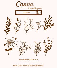 an image of flowers and plants with the words canna on it in brown ink