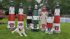 a dog laying in the grass next to many lighthouses on display at a park