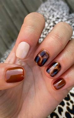 . Autumn Nails Inspo Short, Brown Biab Nail Designs, Fall Nails Pattern, Brown Nails Sns, Tortoise Nails Short, Short Mismatched Nails, Short Nails Ideas Brown, Tortus Nail Designs, Muted Nail Designs