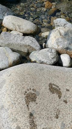 two footprints are shown on the rocks by the water