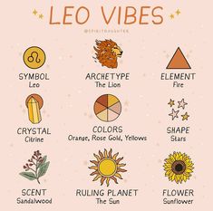 zodiac symbols and their meanings are shown in this graphic style, which includes sunflowers,