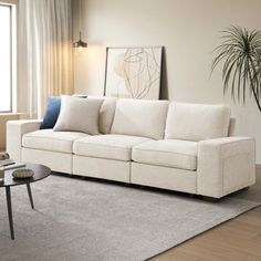 a living room with a couch, coffee table and potted plant in the corner