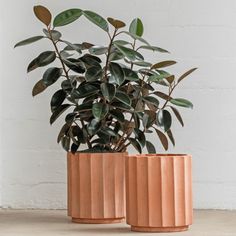 two planters with plants in them sitting on the floor