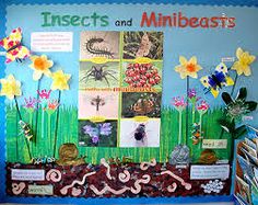 a bulletin board with insects and flowers on it in front of a blue wall that says insects and minibeasts