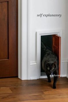 a black cat is standing in the door way