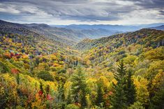 the mountains are covered in autumn foliage and trees with yellow, red, and green leaves