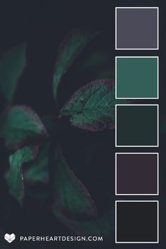 the color palette is dark and green, with leaves on each side in shades of gray