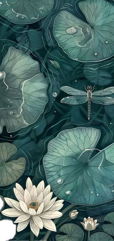 water lilies and dragonflies are floating in the pond